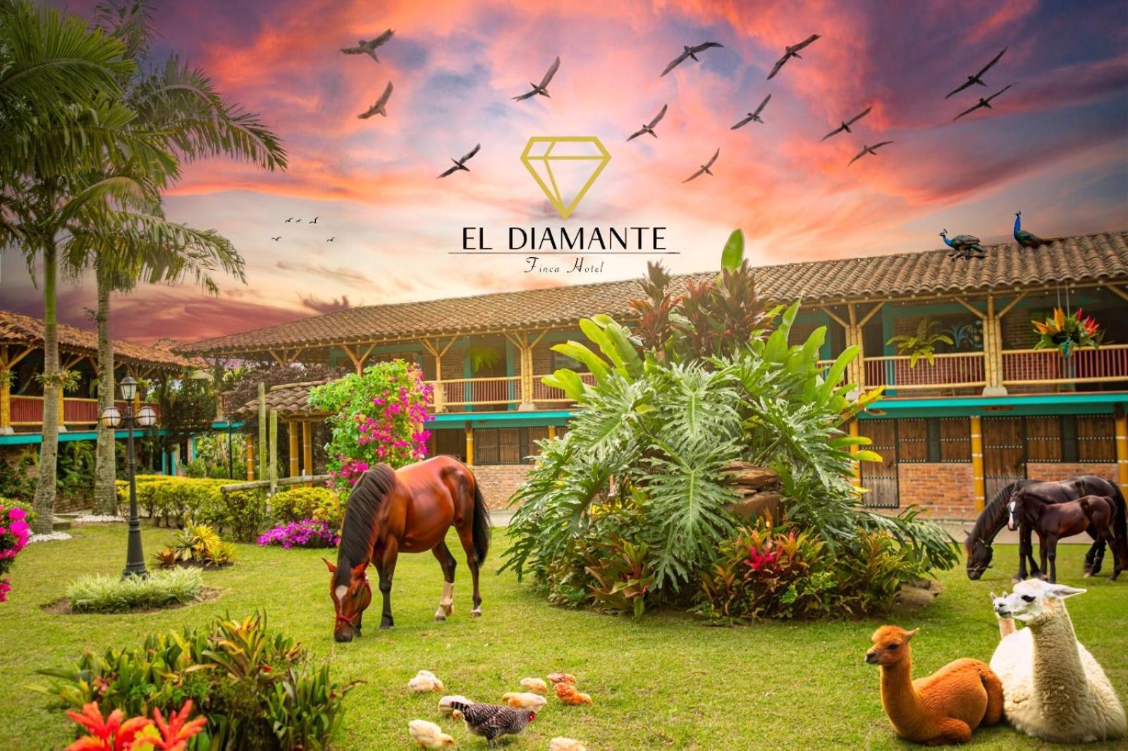 Finca Hotel El Diamante Calarcá Exterior foto